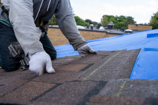 Best Roof Gutter Cleaning  in Chatsworth, GA
