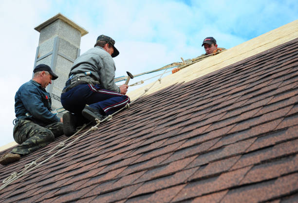 Best Gutter Installation and Roofing  in Chatsworth, GA